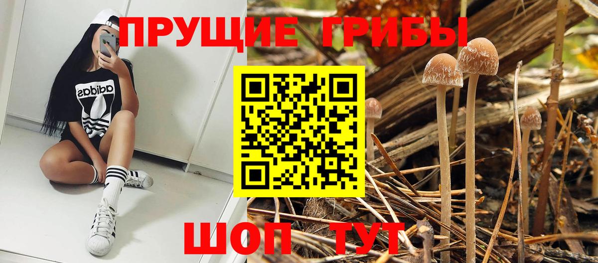 Надым  Псилоцибиновые грибы мицелий  Вход с VPN 